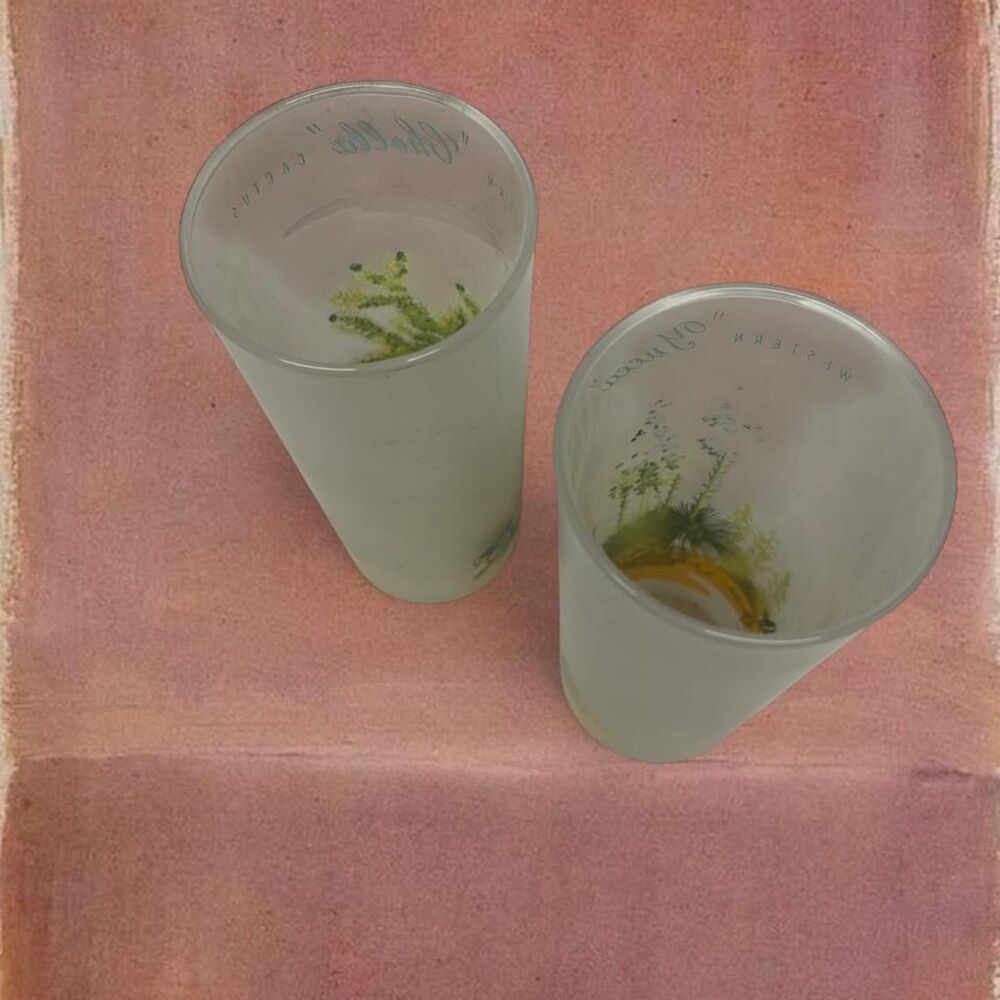 Vintage “Western” Cowboy Collectible Yucca Cholla Cactus Frosted Glass Tumblers - Picture 5 of 7